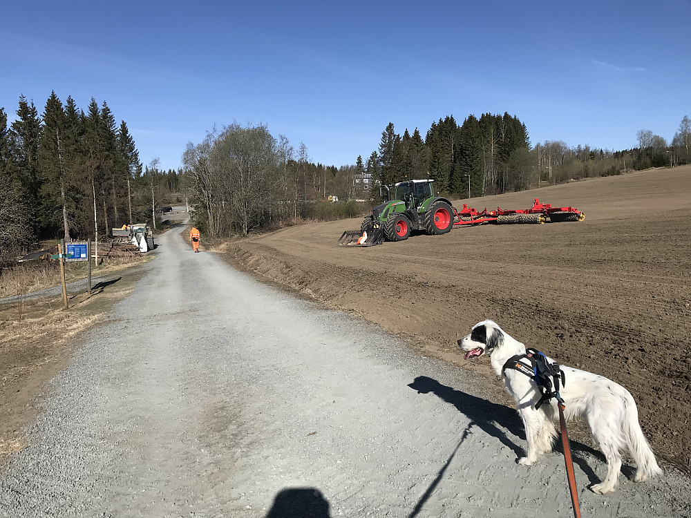 Våronn på Bergsjordet. I dag ble det sådd og harva, og her venter traktor som skal tromle. Nå trengs regn snart. 