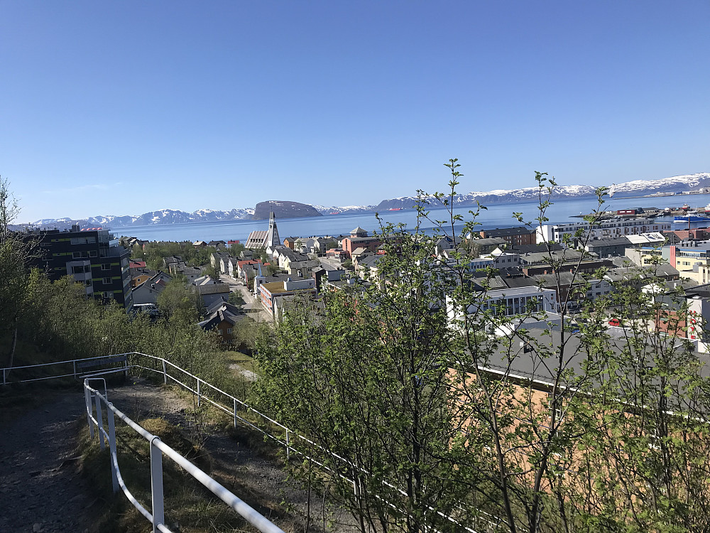 På tur opp på Salen. Det har blitt grønt her disse fine sommerdagene vi har hatt.