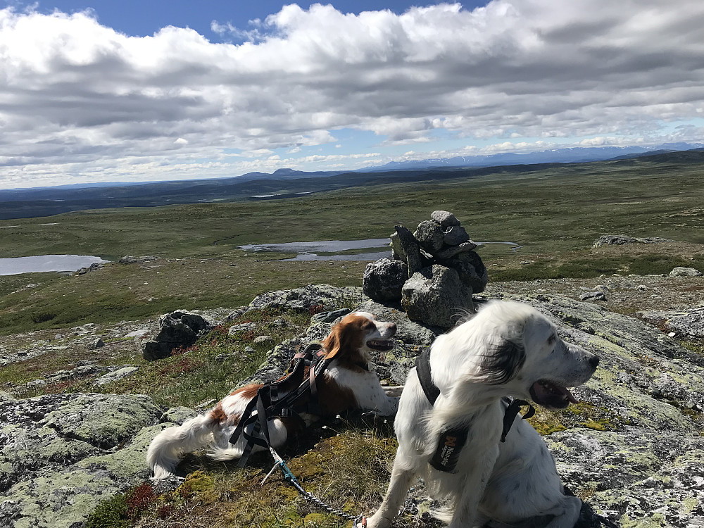 Søre Nonstjønnkampen