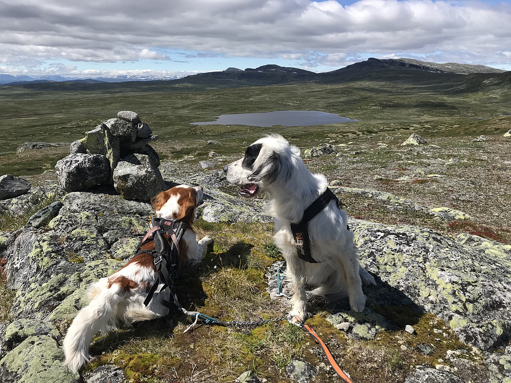 Søre
