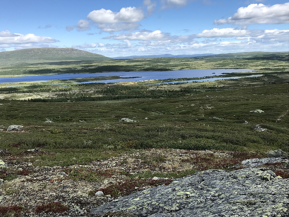 Ned mot Revsjøen