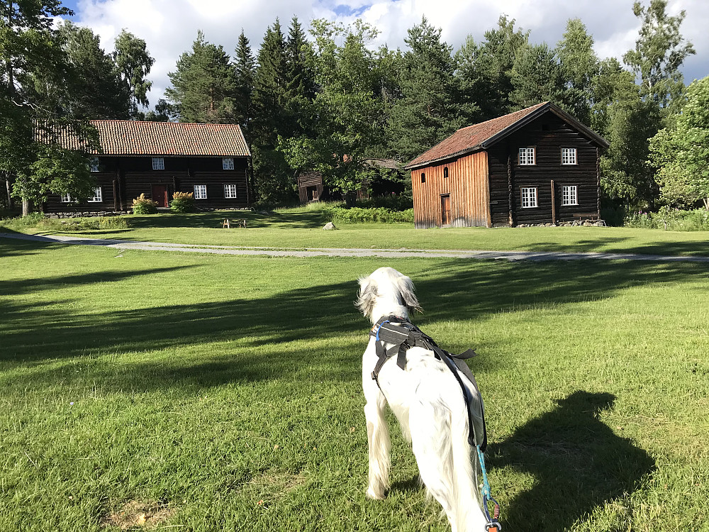 Eiktunet