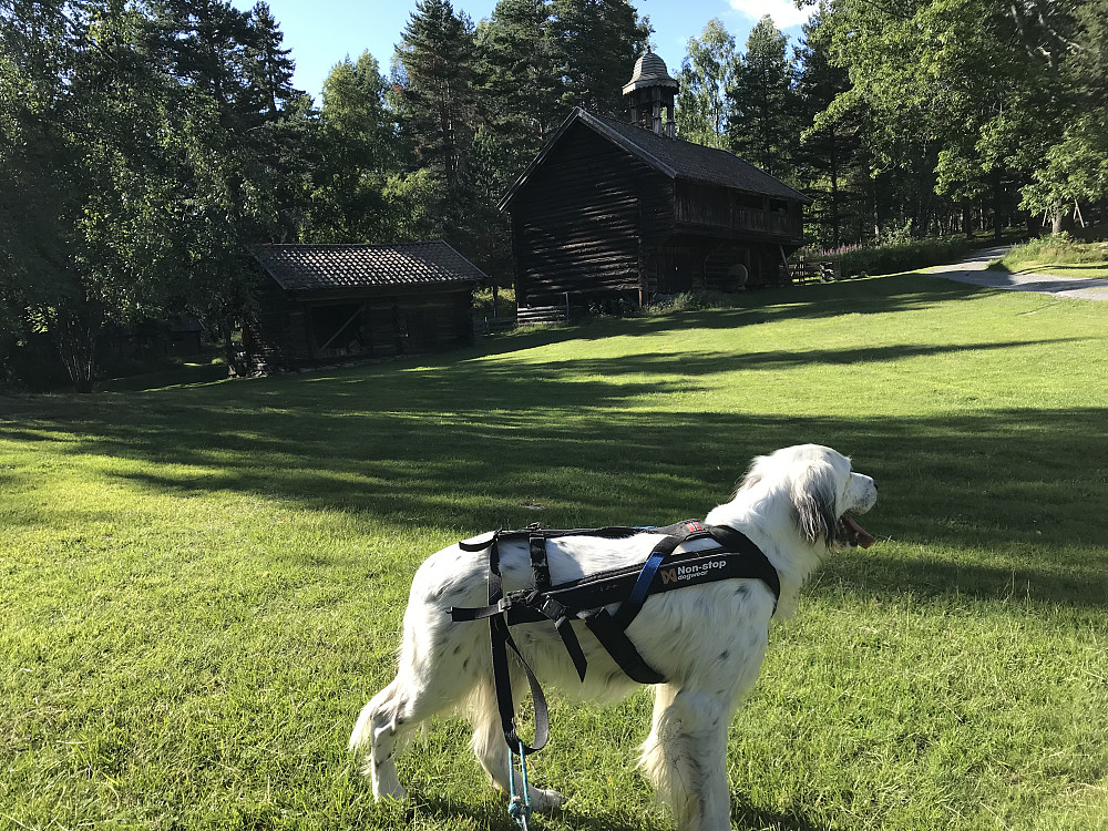 Eiktunet