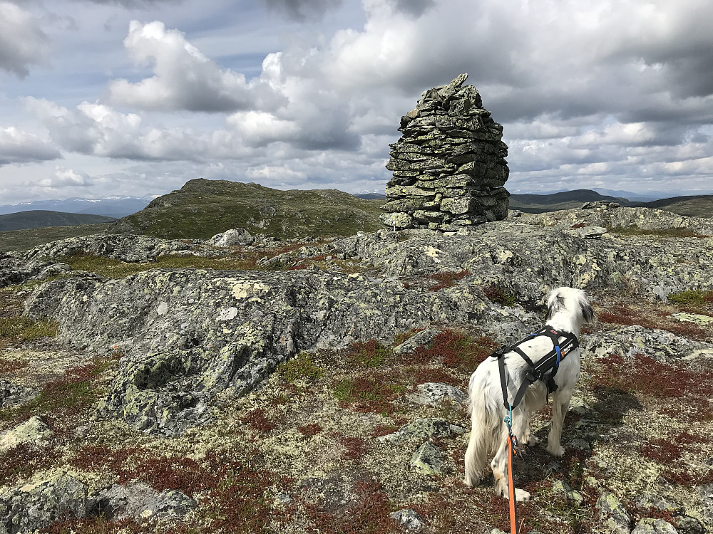 Søre Leppkampen