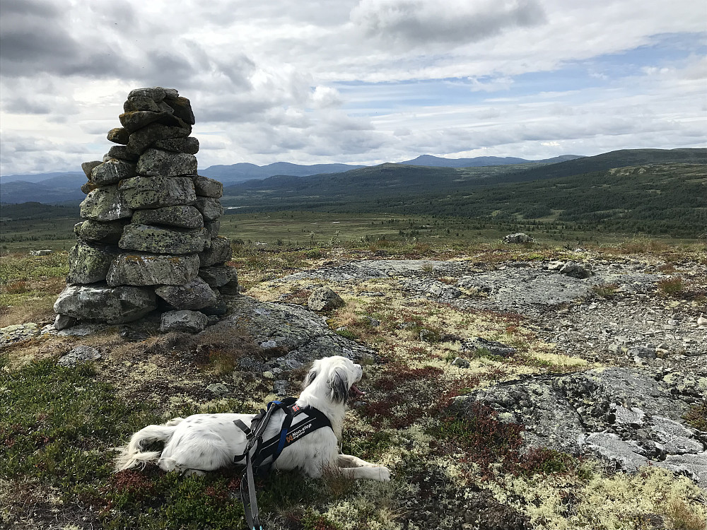 Vetafjellet sør