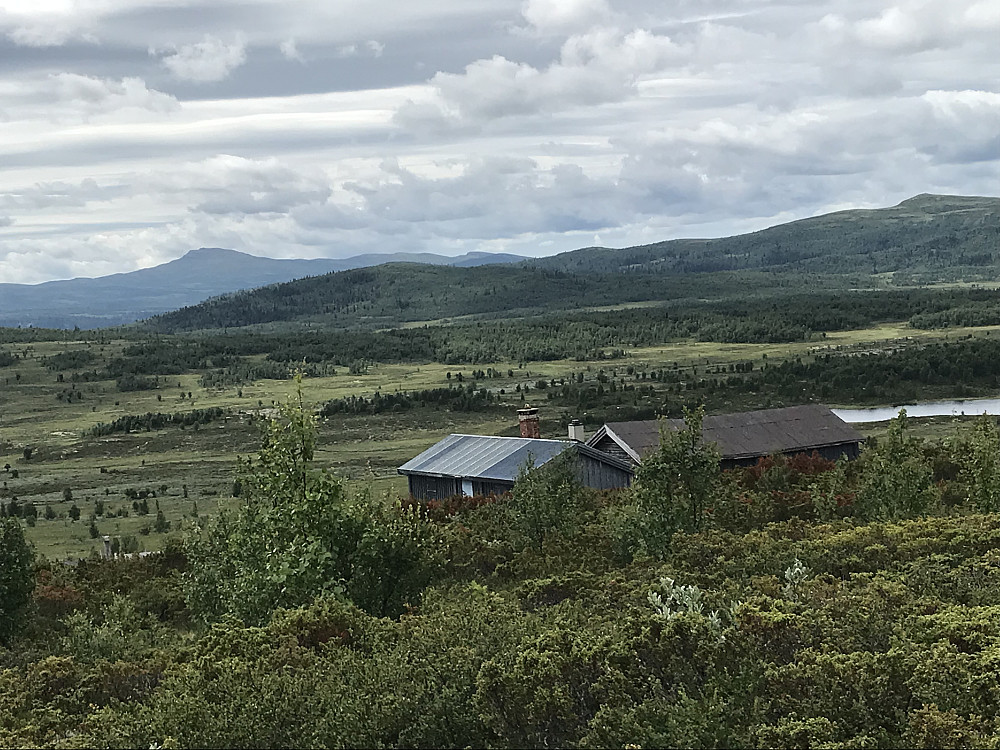 Nysætra