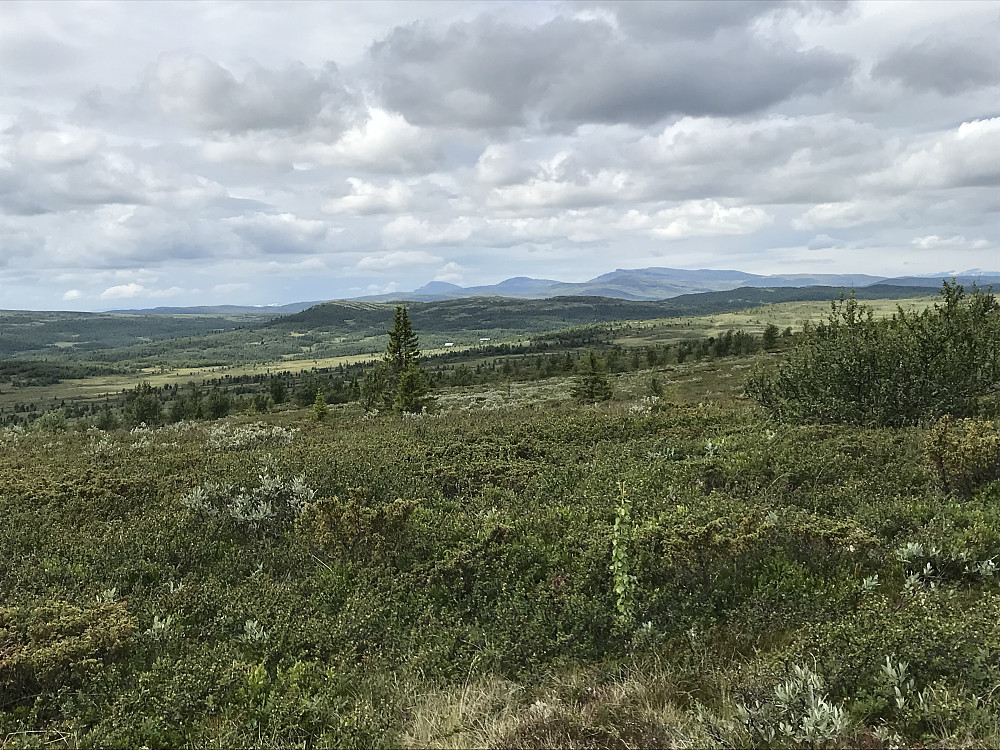 Ser bort på Grytlia