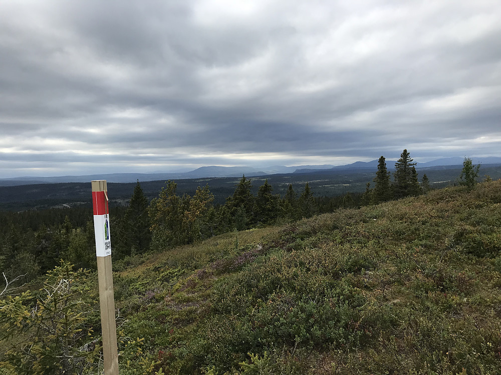 Stolpe på Kyrakampen