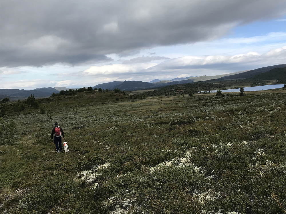 På tur ned mot Leppe