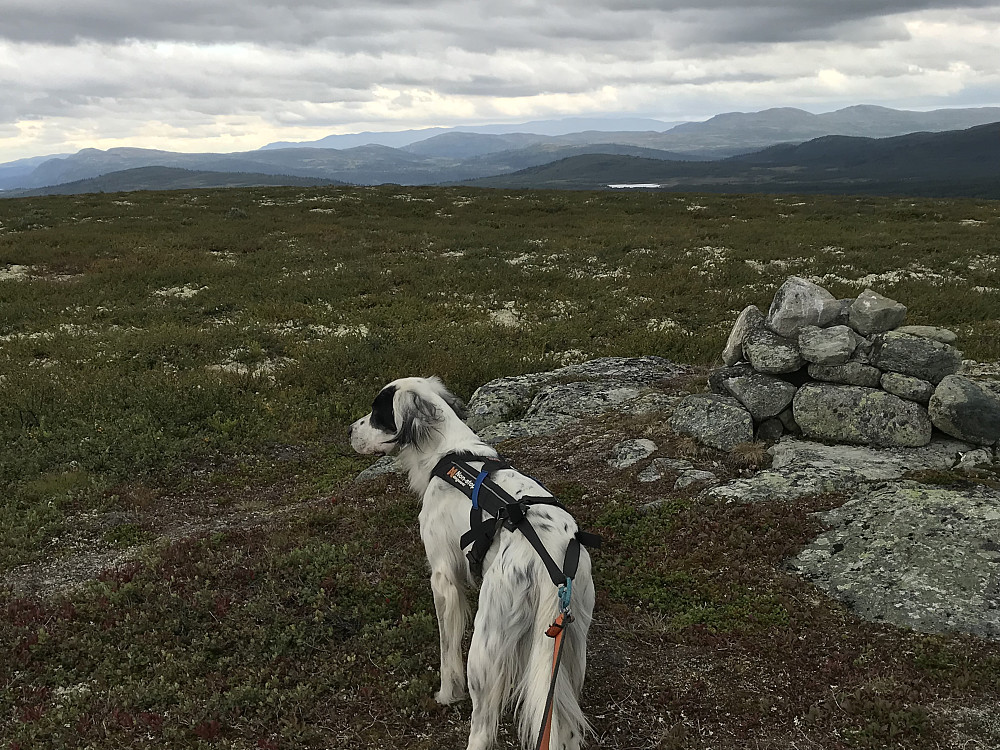 Vetafjellet