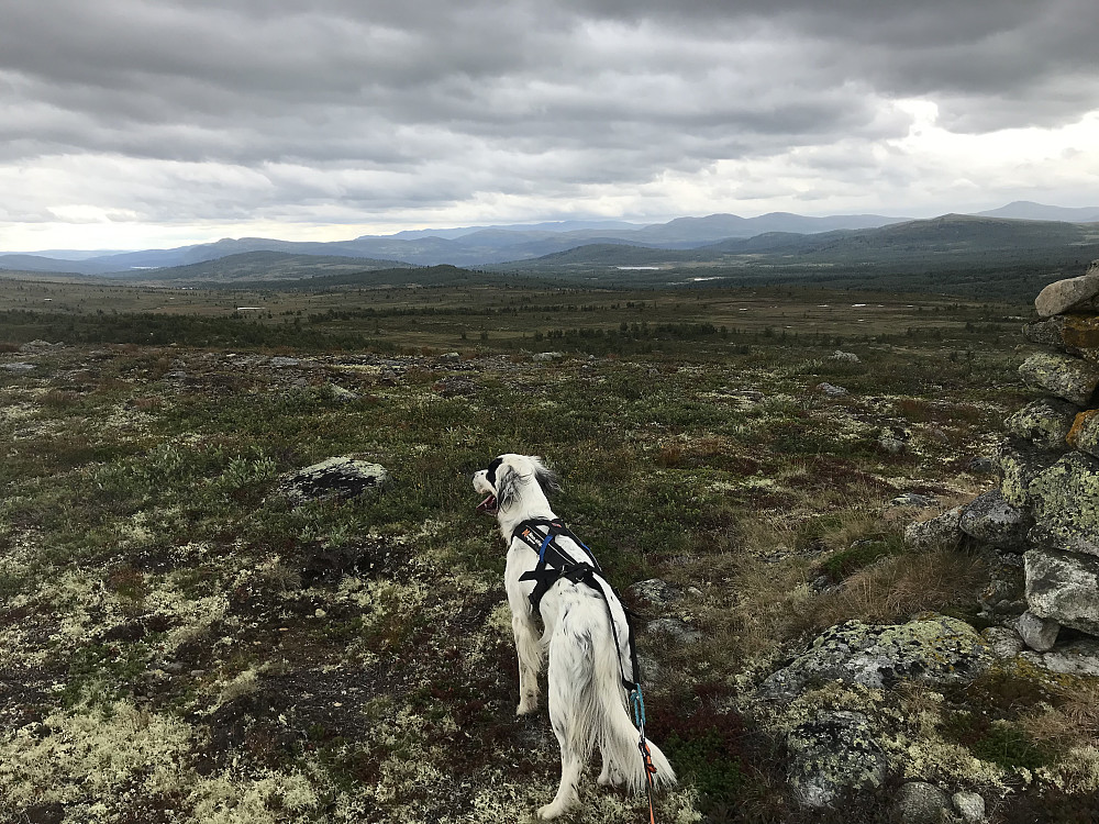 Vetafjellet sør