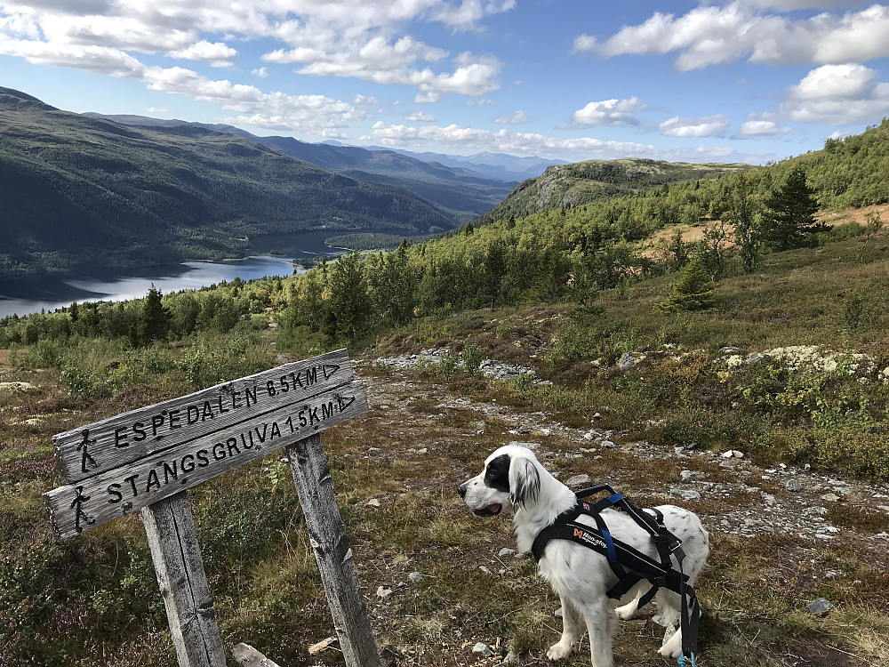 På tur ned