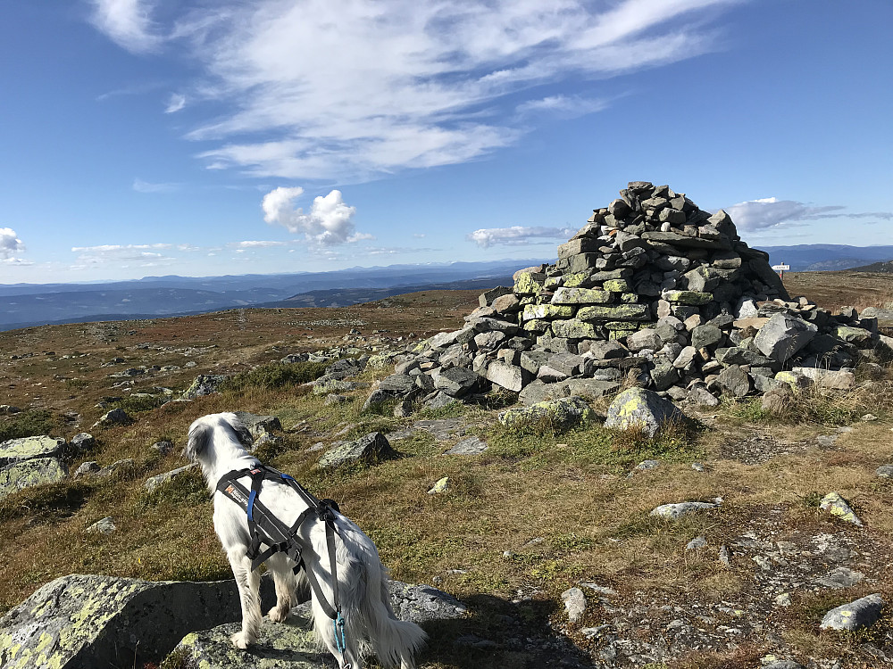 Nevelfjell