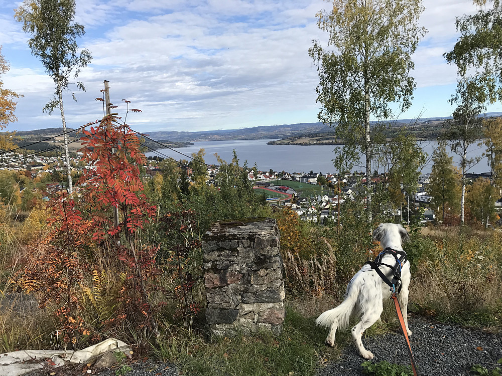 Hovdetoppen