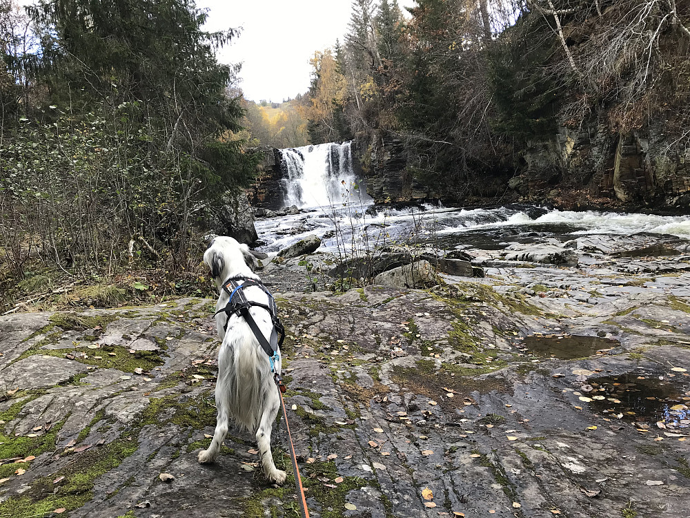 Lisfossen