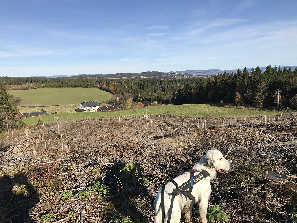 På Madshushaugen, ser ned på garden Madshus, og over til Kollstoppen