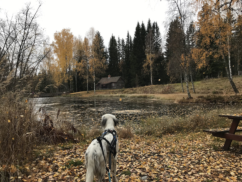 Kom gjennom Eiktunet på vei ned. Is på vannet i dag.