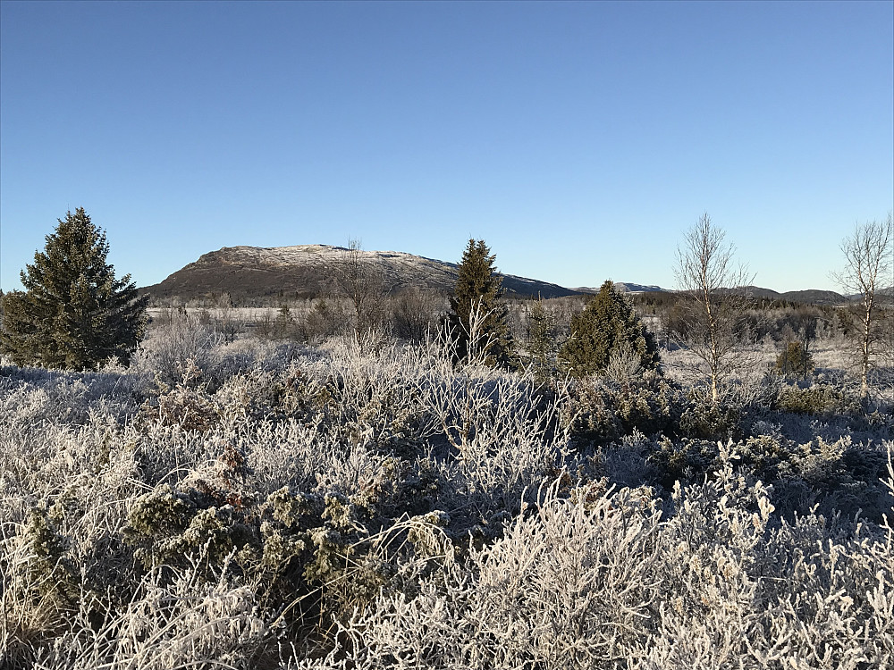 Ongsjøfjellet