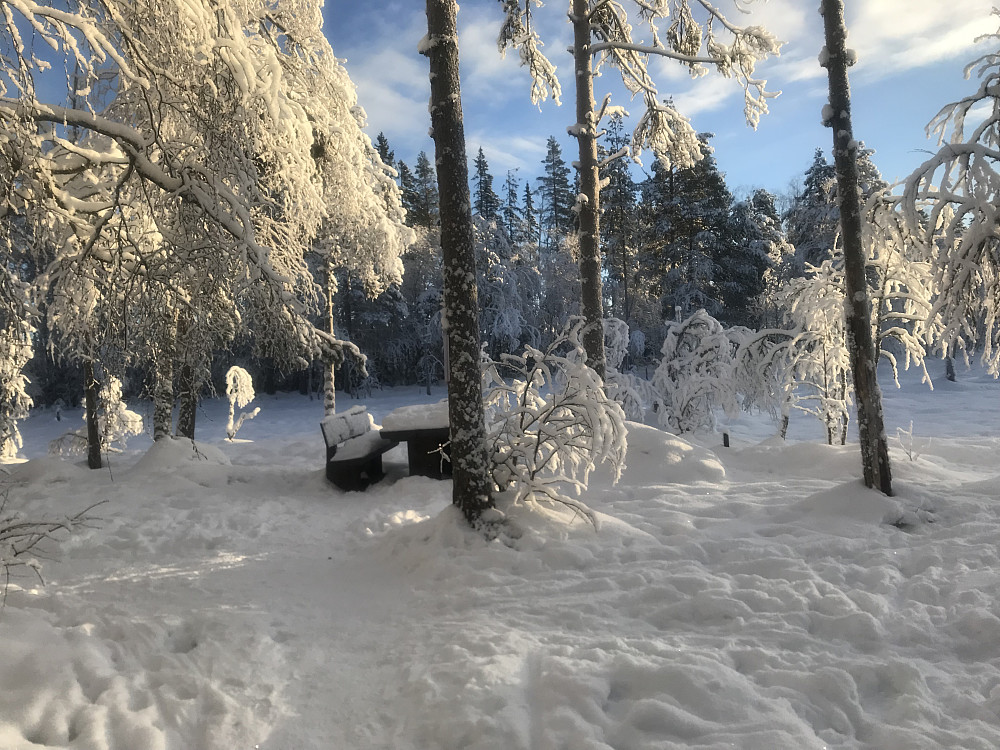 Bikkjebakkmyra i dag