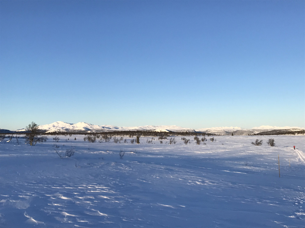 Rakk et bilde i dag, før mobilen syntes det var for kaldt.