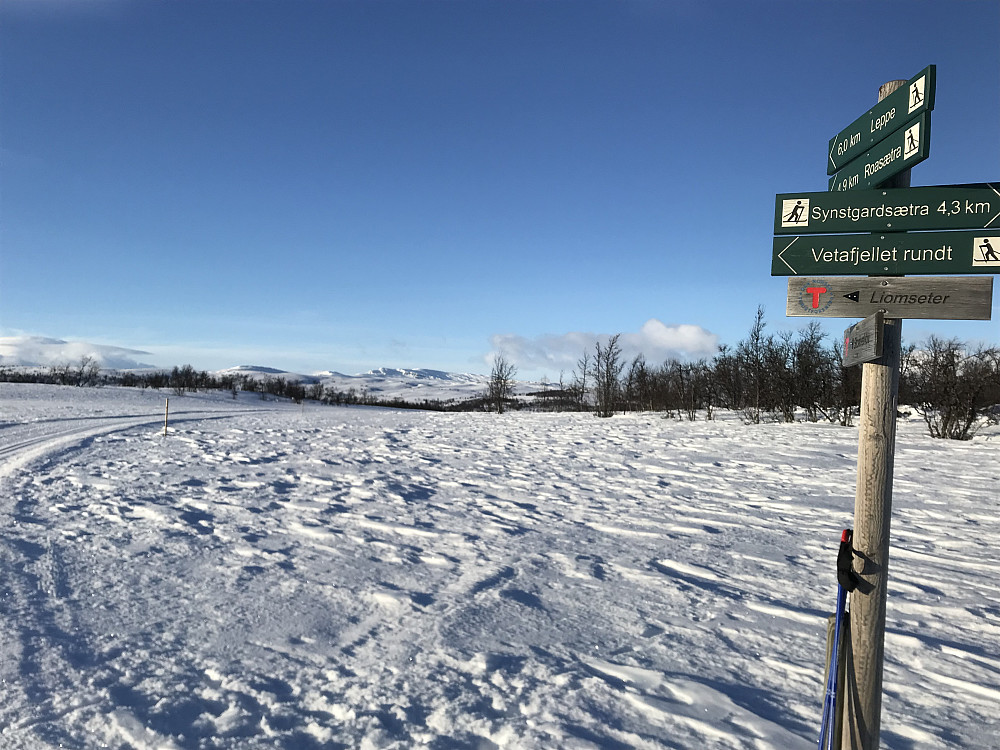 Løypekryss Vetafjellrunden - Ongsjørunden/Leppe