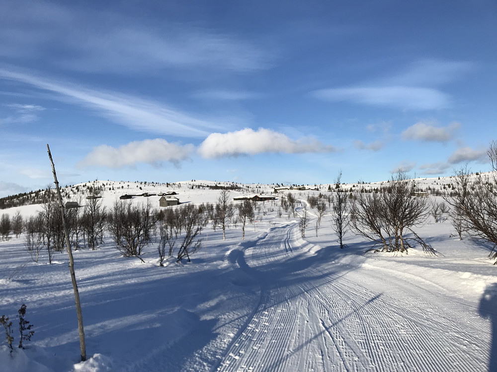 Bødalsnysetra
