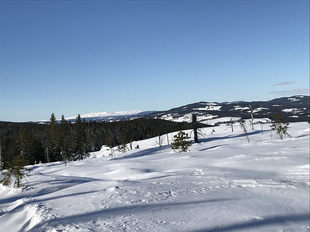 Utsikt til Synnfjellet fra Gravåsen