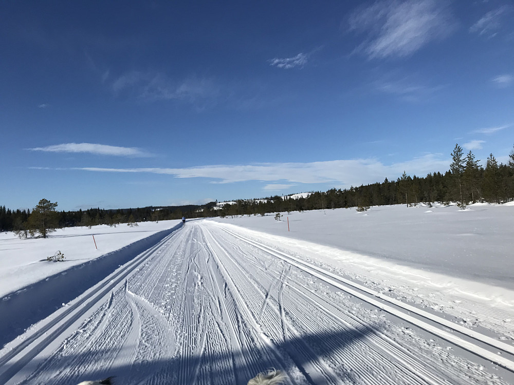 Røgardsmyra