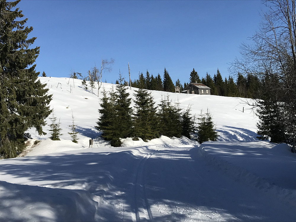 Bjønnhaugen