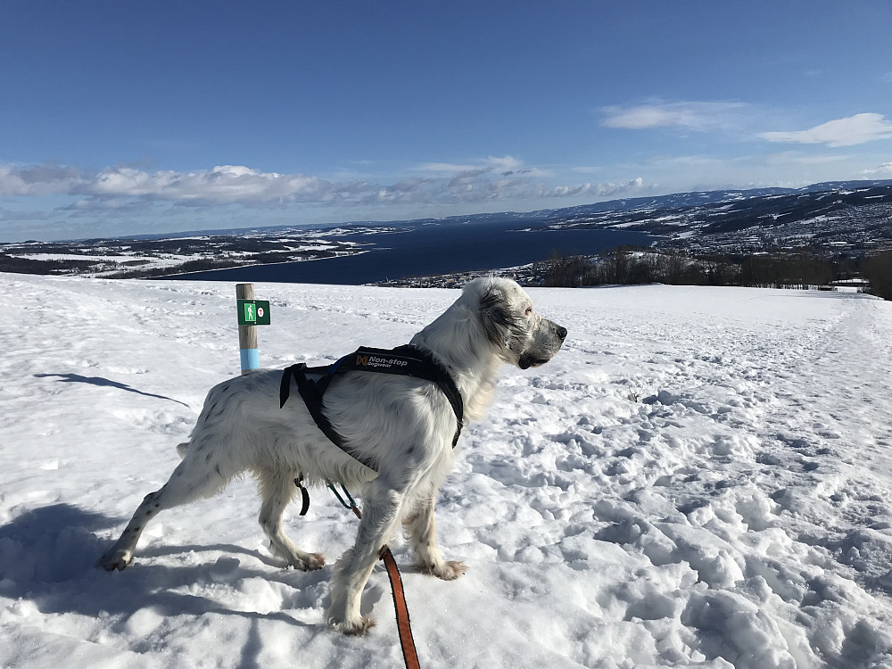 På tur ned fra Bergstoppen