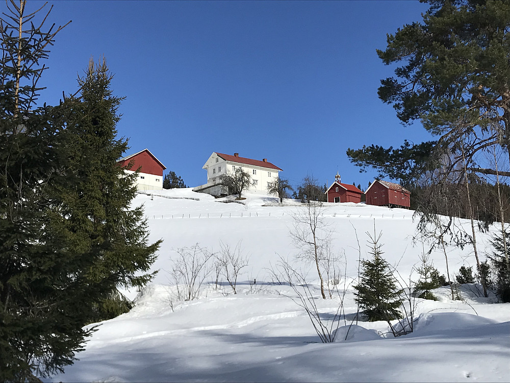 Gubberud
