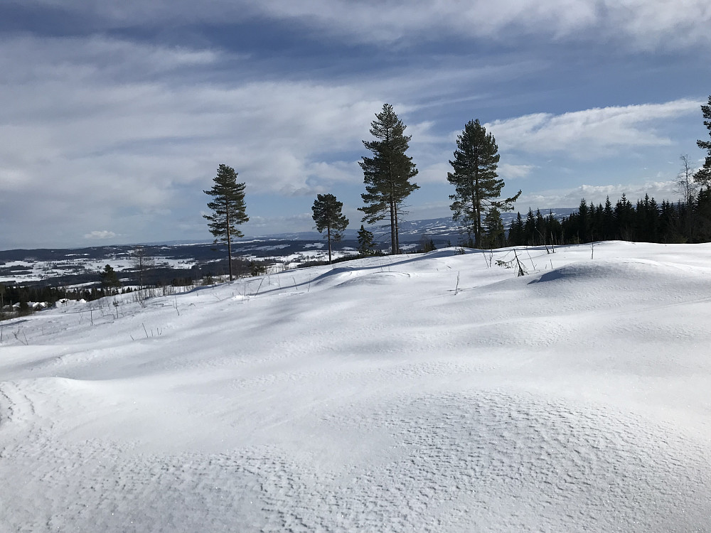 Utsikt mot Mjøsa fra løypa i nærheten av Kollstoppen. Snauhogst siden sist vi gikk her, da savna jeg utsikt. 