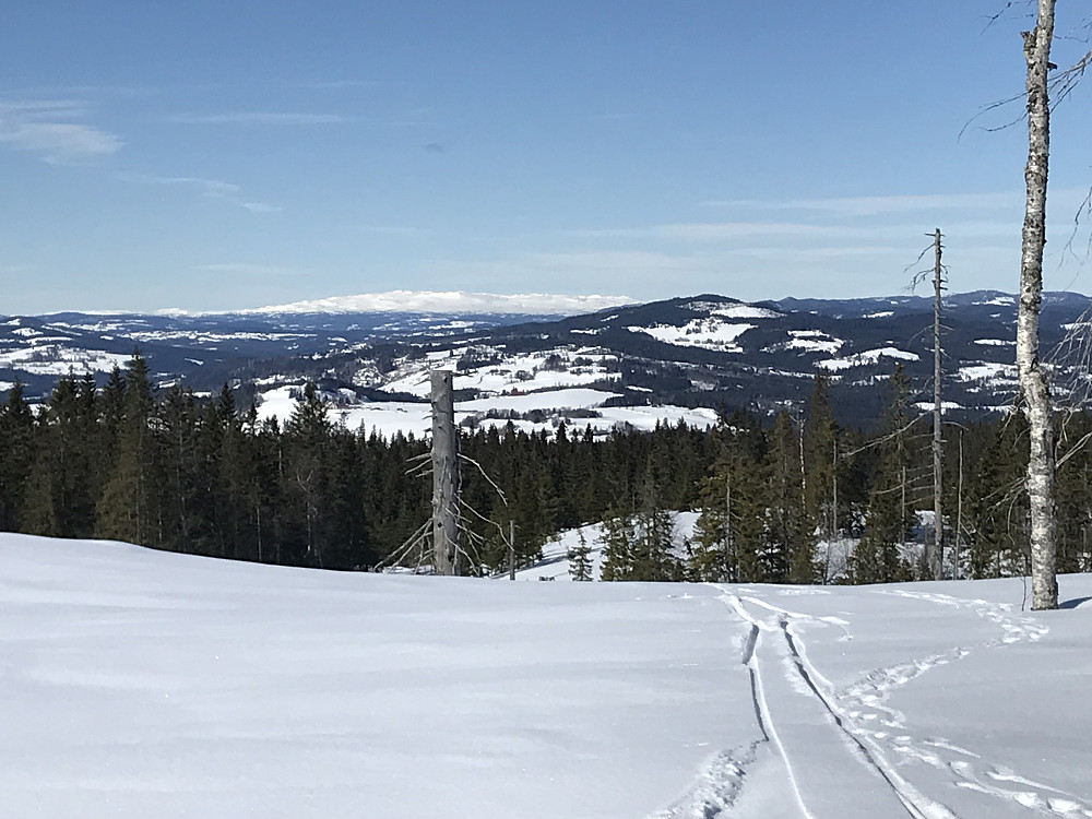 Utsikt til Synnfjellet fra Glæstadhøgda