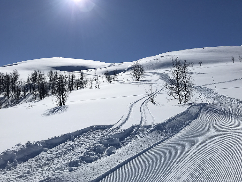 Opp mot Leppskardet