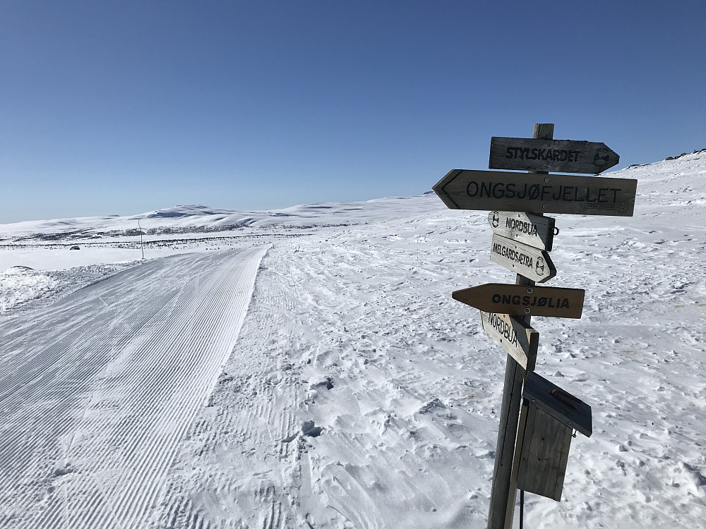 Leppskardet