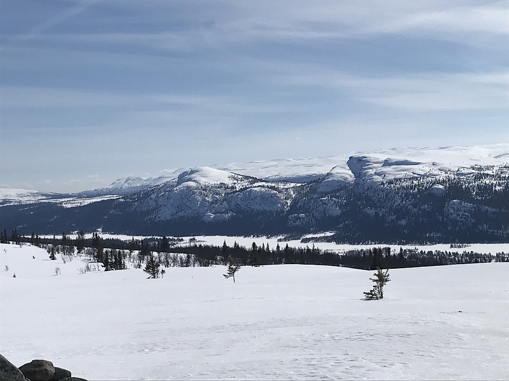 Ormtjernskampen og Dokkampen
