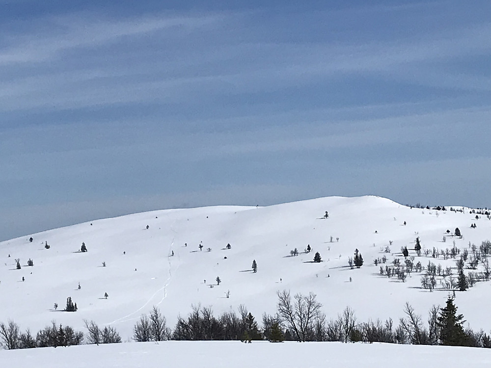Tilbakeblikk på Hornsjøfjellet