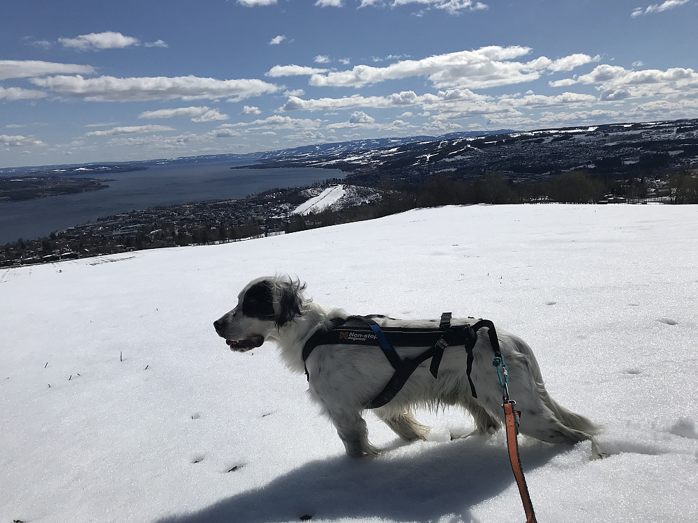 Utsikt fra Bergsjordet