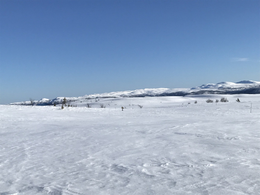 På Storhaugen