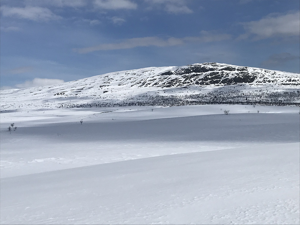 Ongsjøfjellet fra Skomakeråsen