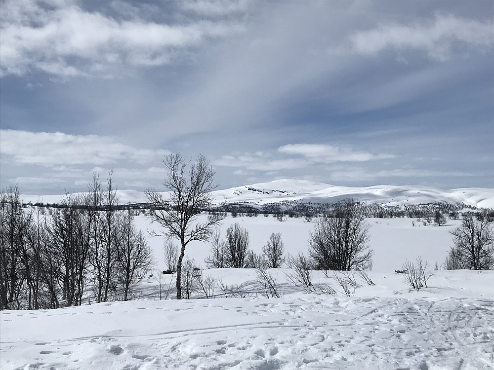 Nonstjønnkampen fra Leppe
