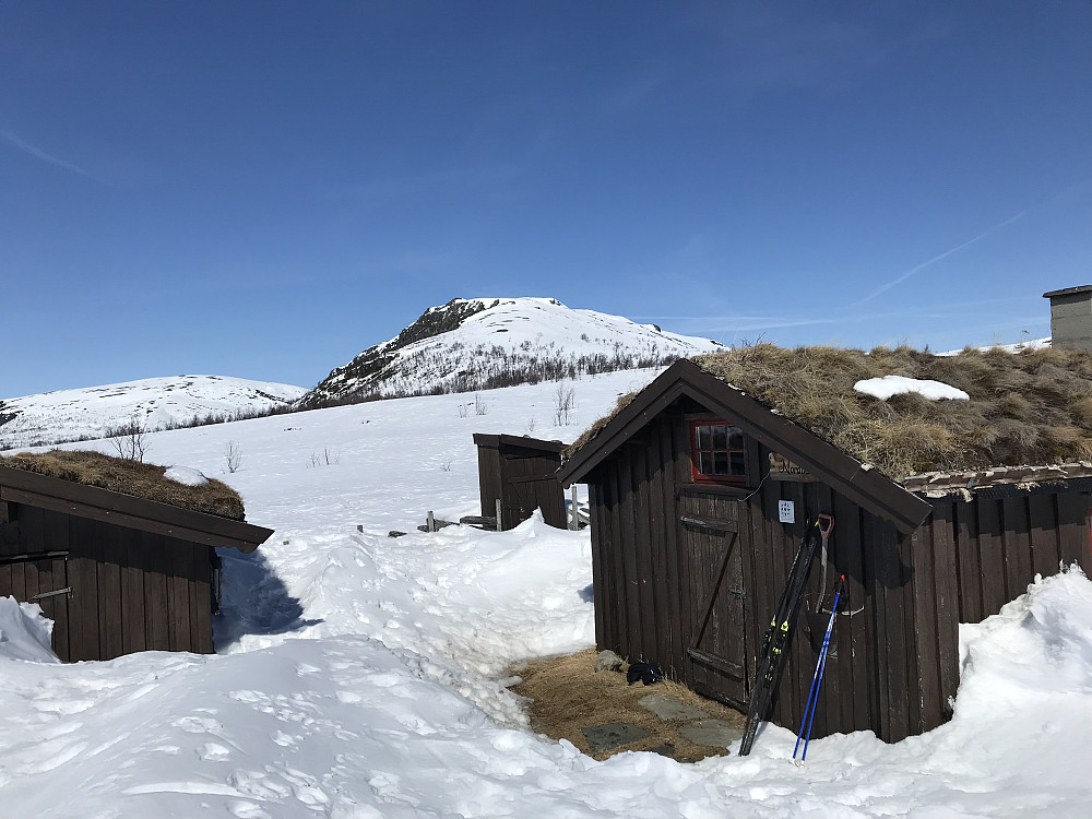 Nordbua