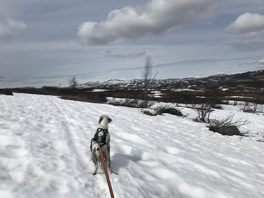 En stund til det blir kjørbart her