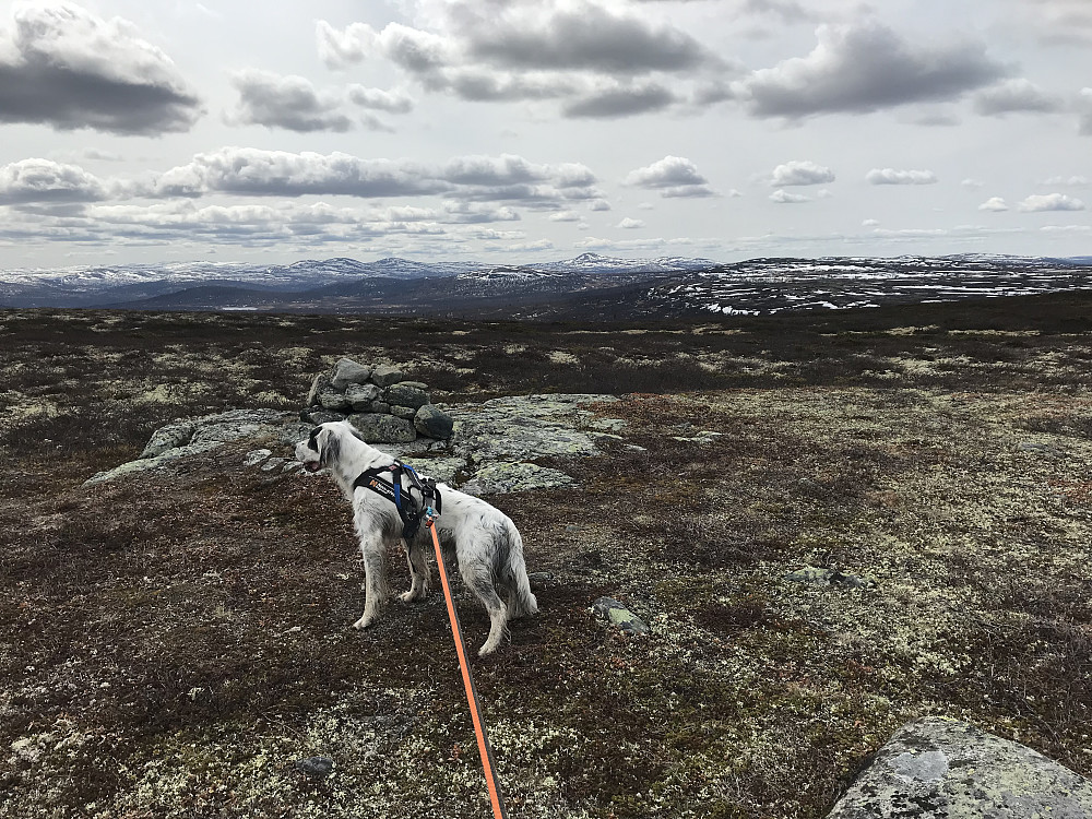 Vetafjellet