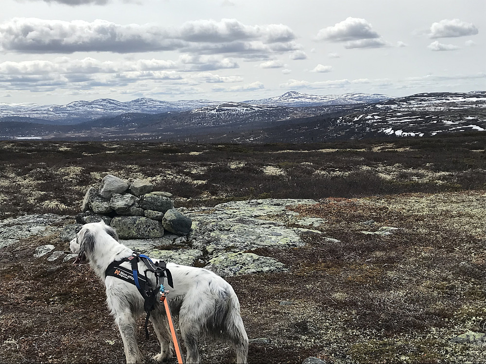 Vetafjellet