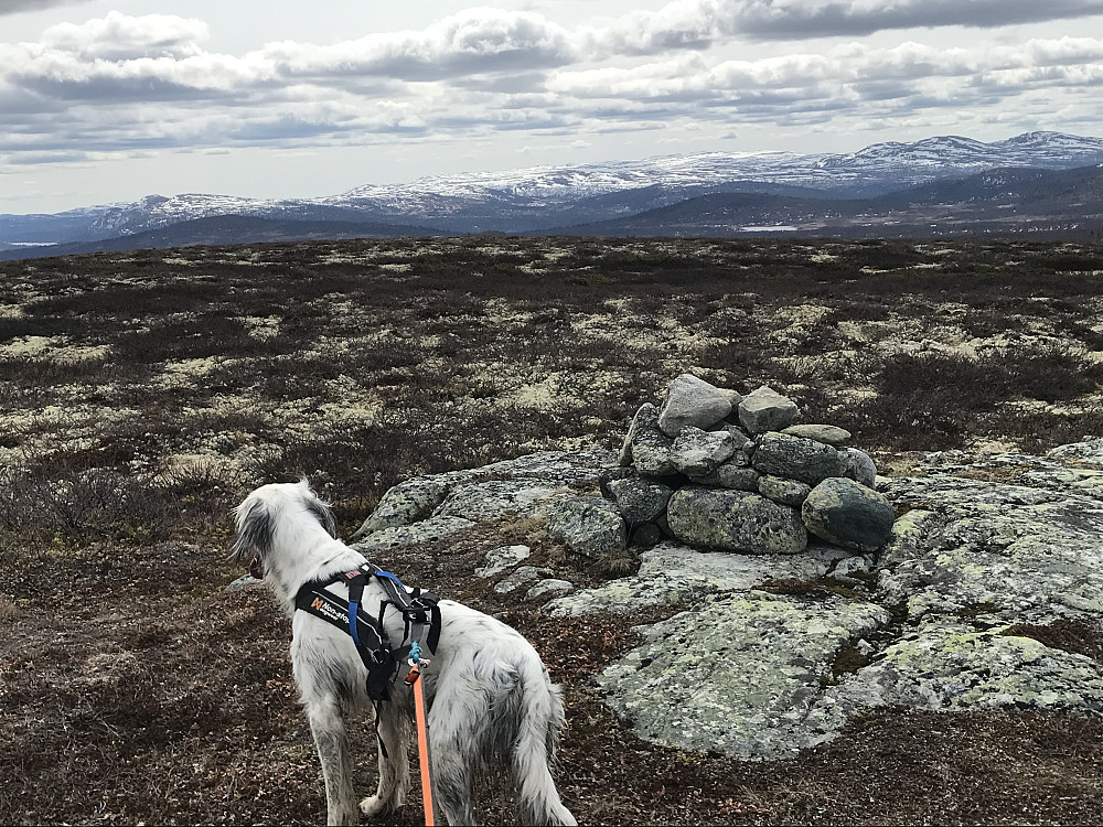 Vetafjellet