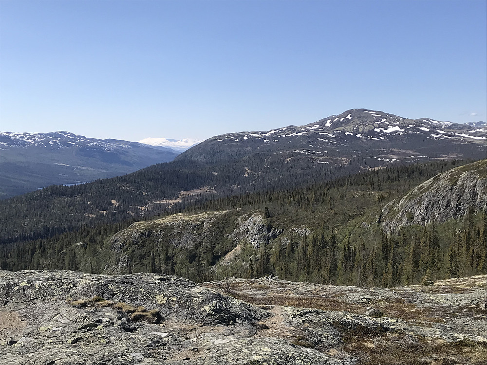Mot søre Gråhøa