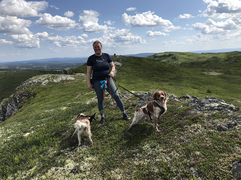 Synnøve med Bonzo og Zanto på Hindalsfjellet