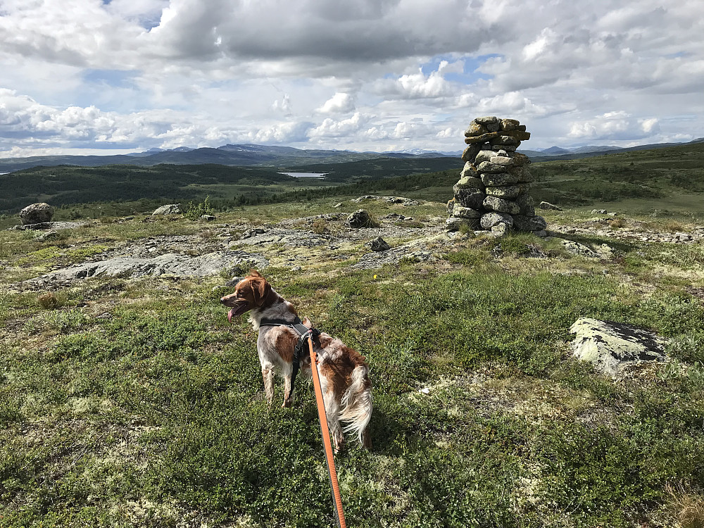 Vetafjellet sør
