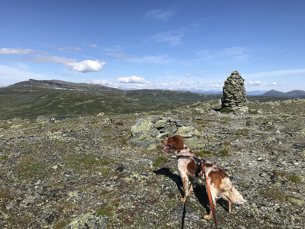 På Nonstjønnkampen